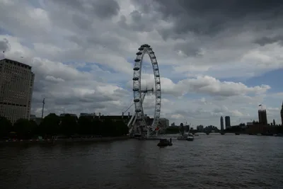 DSC_2793 (Large).JPG